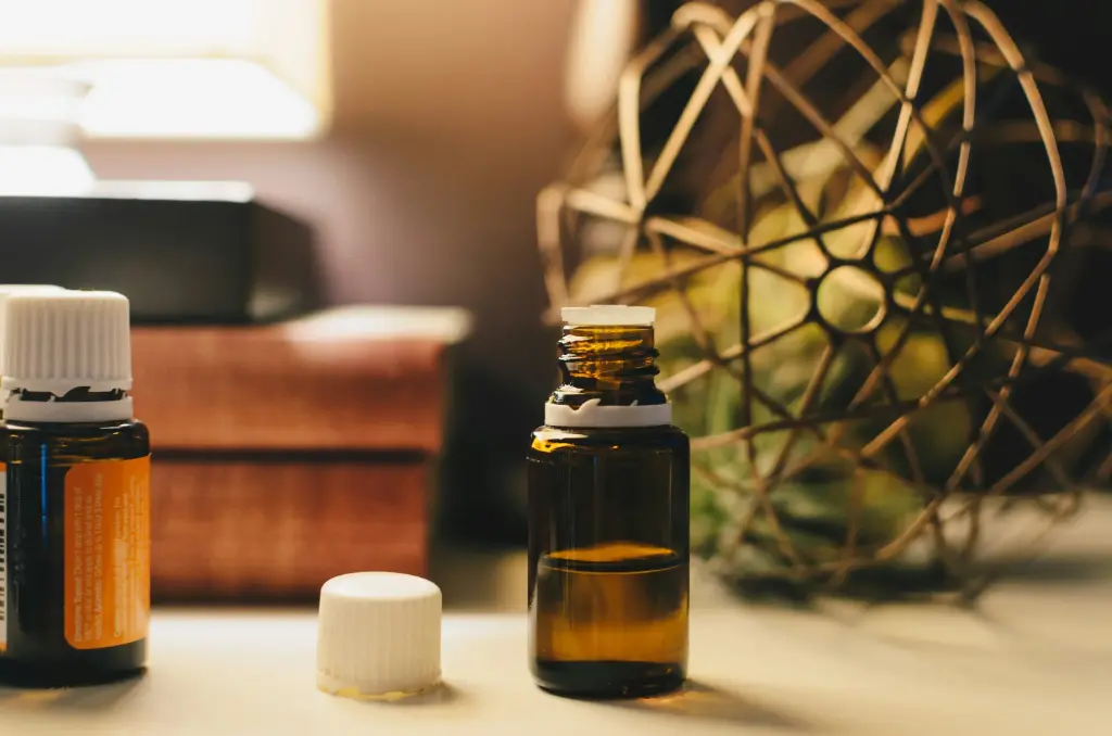 Seminarreihe Homöopathie bei Elke Plugge