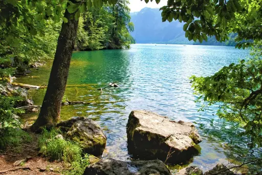 Seminar Wege zur Selbst-Heilung bei Elke Plugge